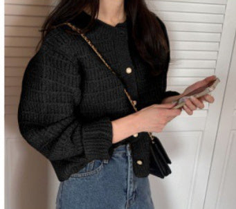 "Round Neck Textured Women Design Loose Long Sleeve Short Knitted Sweater"